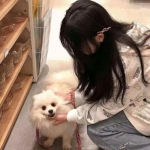 战舰少女r互通版下载